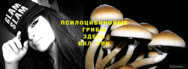 гашиш Бородино